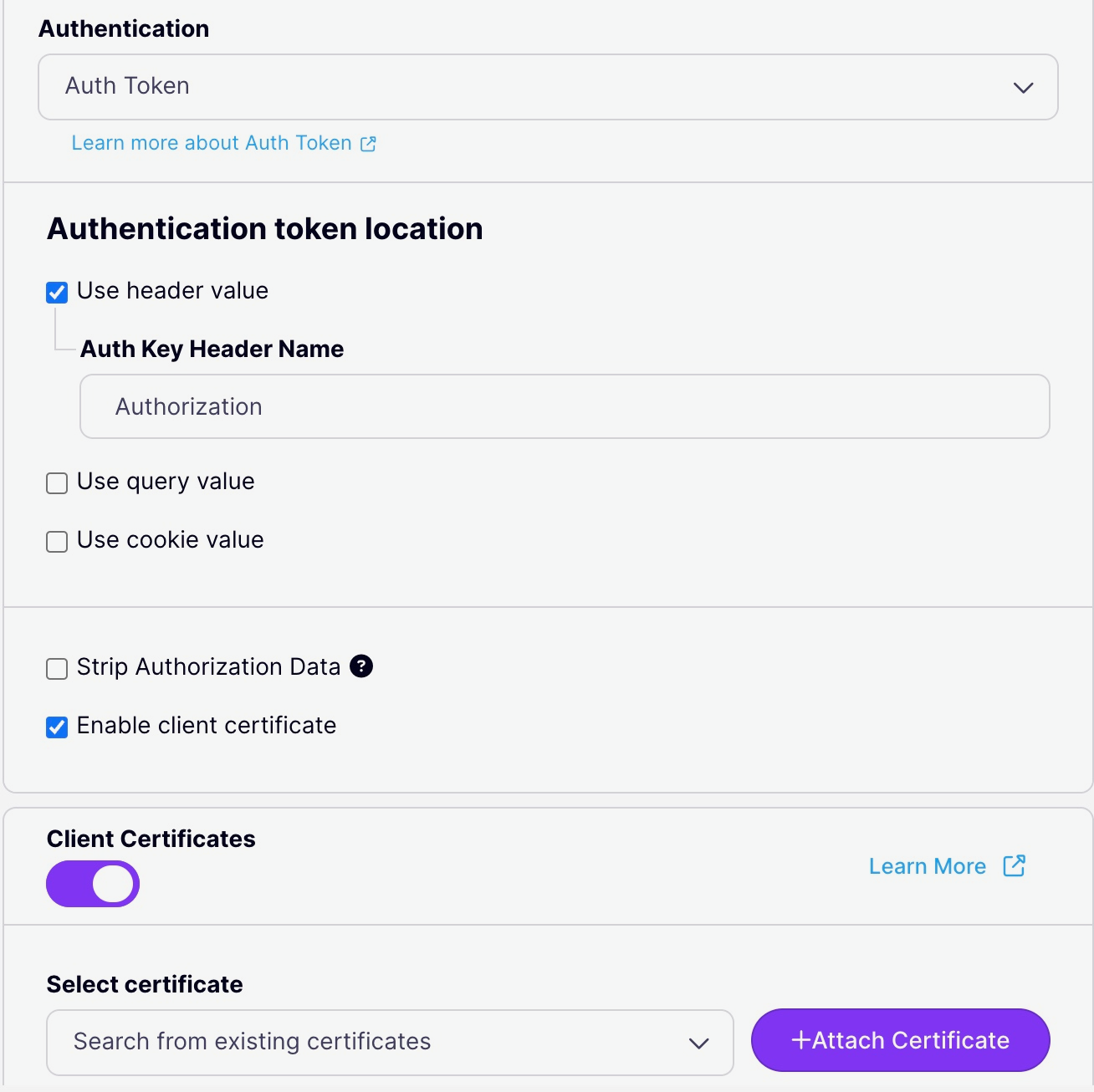 Configuring the Auth Token method